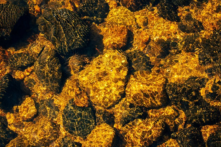 echostone registry of orbits