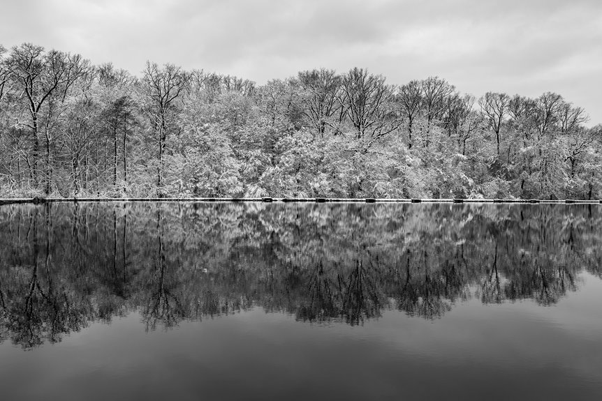 harmonicon archive symmetry collection