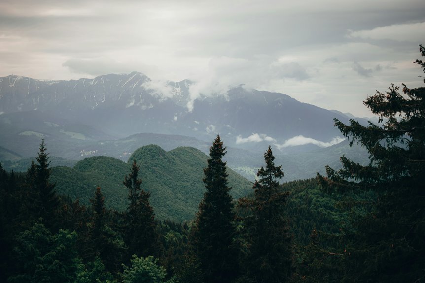 ironveil summit run event