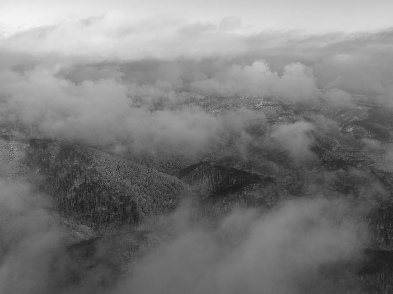 newffr intaspharma login guide