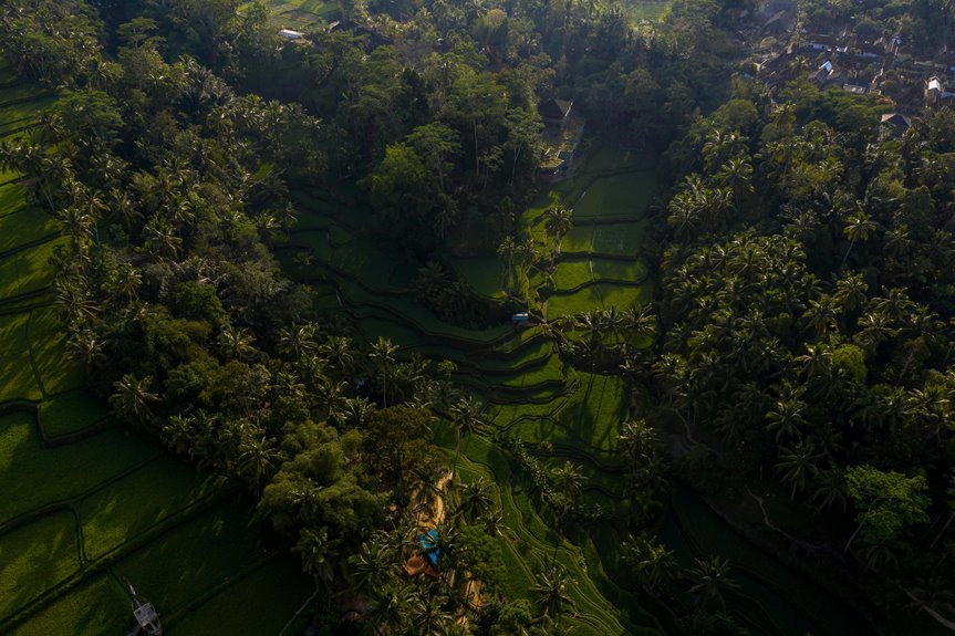 silverdown ridge flow location