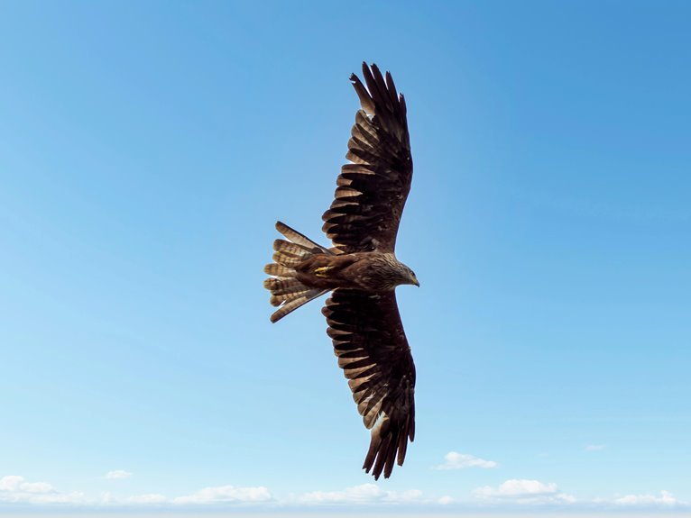 8021154120, 2081254029, 1613025320, 427444440, 3333219805 — The Stellar Apex Ledger of the Cloud Gate